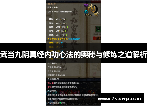 武当九阴真经内功心法的奥秘与修炼之道解析